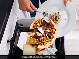 Halving Food Waste Can Reduce Hunger For 153 Million People Globally: Report Halving Food Waste Can Reduce Hunger For 153 Million People Globally: Report