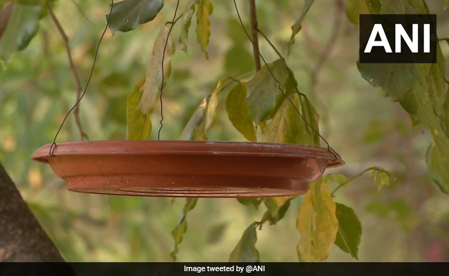 आसमान में उड़ने वाले परिंदों को मिलेगी गर्मी से राहत, कर्नाटक में पक्षियों के लिए लगाए गए 'प्याऊ'