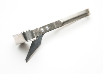 4 Fish Scale Scraper Options To Try 4 Fish Scale Scraper Options To Try