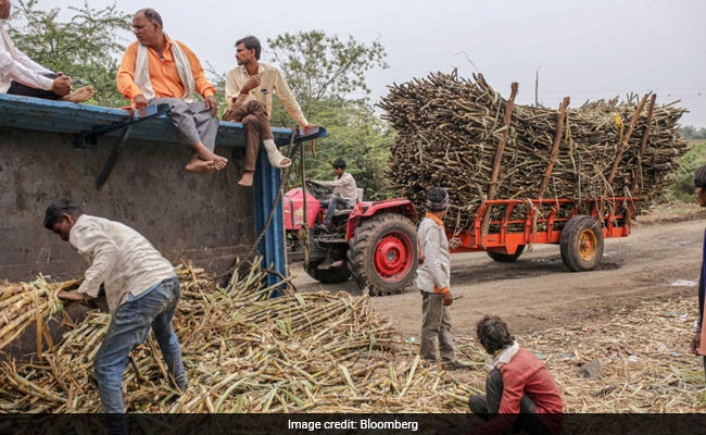 Explained: Centre's 5-Year MSP Plan, And Why Farmers Are Not Convinced