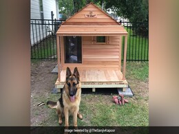 His Message Exchange With Wife And Its Aftermath Wins The Internet Today His Message Exchange With Wife And Its Aftermath Wins The Internet Today