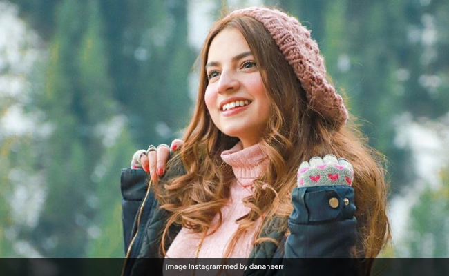 '<i>Pawri</i>' Originator, Young Pak Student, On India Loving Her Lingo