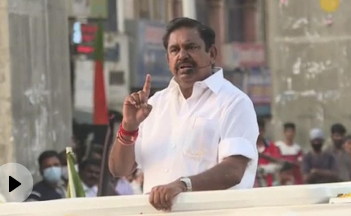 The Art of Baking: From Classic Bread to Artisan Pastries