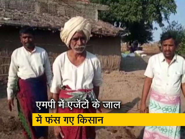 मध्य प्रदेश में पॉली हाउस के नाम पर आदिवासी किसान करोड़ों की ठगी का हुए शिकार