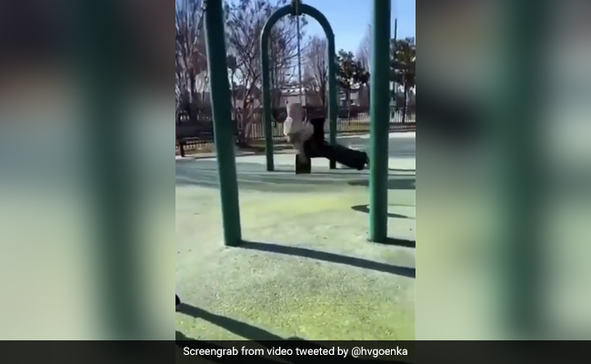 A Million Views For This Man's Swing Stunt. Harsh Goenka Shares Video