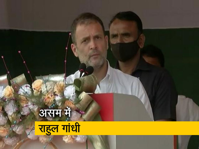 असम चुनाव : दो दिनों के दौरे पर राहुल गांधी, चाय स्टेट कार्यकर्ताओं को भी किया संबोधित