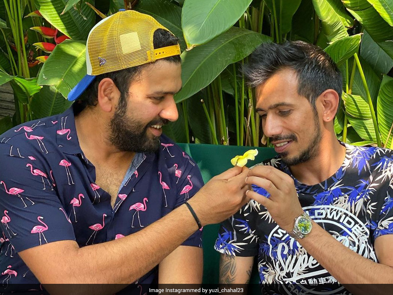 Yuzvendra Chahal's "Senorita" Moment With Rohit Sharma Draws Response From Dhanashree Verma. See Pics