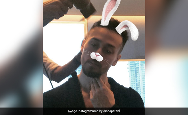 "Shine Bright Like A Bunny Every Day": Disha Patani's Birthday Wish For "Casanova" Tiger Shroff Is As Fun As He Is