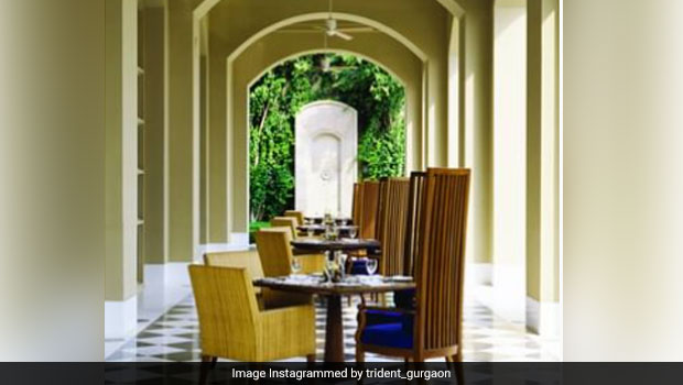 Enjoy Risottos And Paellas? Visit Cilantro At Trident, Gurgaon Today