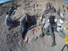 Fossils Of  Dinosaurs That Lived 140 Million Years Ago Found In Argentina Fossils Of  Dinosaurs That Lived 140 Million Years Ago Found In Argentina