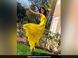 "Sunshine Hits Differently These Days": Priyanka Chopra Posts A Gorgeous Pic From London "Sunshine Hits Differently These Days": Priyanka Chopra Posts A Gorgeous Pic From London