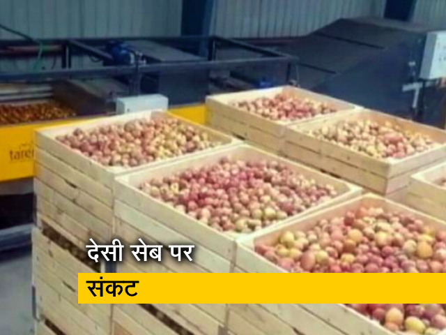 विदेश से आ रहे सेब ने भारत के सेब किसानों का बढ़ाया संकट