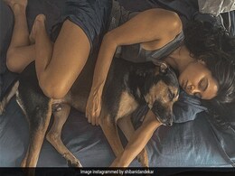 "Just The Two Of Us," Writes Shibani Dandekar In Her Latest Post. No, It's Not For Farhan Akhtar "Just The Two Of Us," Writes Shibani Dandekar In Her Latest Post. No, It's Not For Farhan Akhtar