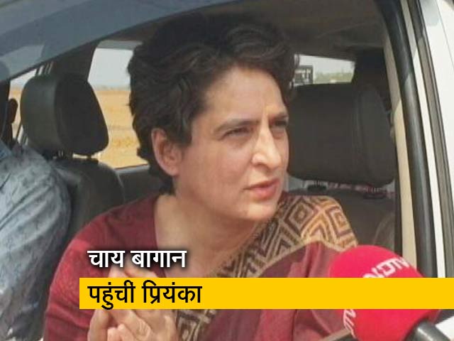 असम : NDTV से बोलीं प्रियंका गांधी- ये सिर्फ कांग्रेस vs बीजेपी की लड़ाई नहीं, बल्कि...