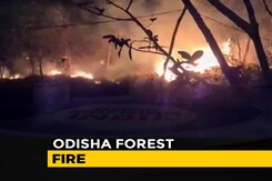 Odisha Chief Minister Reviews Simlipal Forest Fire, Says No Damage To Big Trees Odisha Chief Minister Reviews Simlipal Forest Fire, Says No Damage To Big Trees