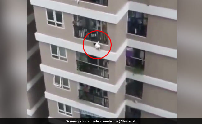 Delivery Driver Catches Toddler Who Fell From 12th Storey. Watch