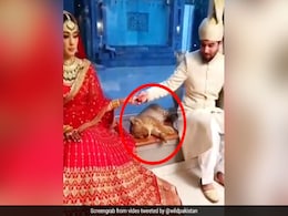 पाकिस्तान में दूल्हा-दुल्हन के पास बैठा दिखा शेर का बच्चा, मच गया बवाल, लोग बोले- 'जेल में डालो इन्हें' - देखें Video पाकिस्तान में दूल्हा-दुल्हन के पास बैठा दिखा शेर का बच्चा, मच गया बवाल, लोग बोले- 'जेल में डालो इन्हें' - देखें Video