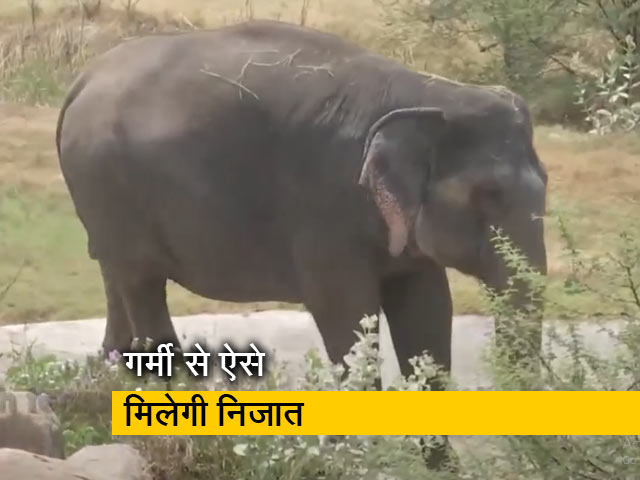 हैदराबाद : नेहरू जूलॉजिकल पार्क में जानवरों के लिए विशेष व्यवस्था