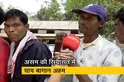 असम: चाय बागान में काम करने वाले बोले- "विकास तो हुआ है लेकिन..." असम: चाय बागान में काम करने वाले बोले- "विकास तो हुआ है लेकिन..."