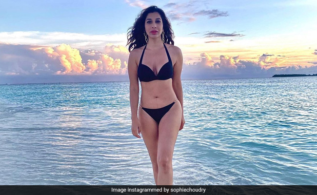 "Would Freak Out When Asked To Wear A Bikini In MTV Days": Sophie Choudry