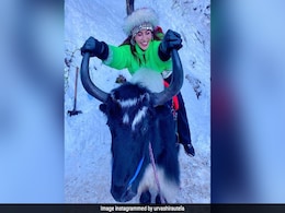 याक पर बैठकर Urvashi Rautela ने शेयर की फोटो, बोलीं- आपका फेवरेट पोज क्या है? याक पर बैठकर Urvashi Rautela ने शेयर की फोटो, बोलीं- आपका फेवरेट पोज क्या है?