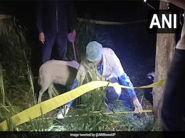 Teen Found Dead In Aligarh Field Was Strangled, No Clear Evidence Of Rape: UP Cops Teen Found Dead In Aligarh Field Was Strangled, No Clear Evidence Of Rape: UP Cops