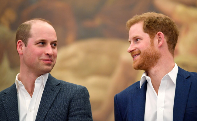 Diana Statue Event May "Break Ice" For Princes William, Harry: Royal Biographer