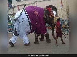 सड़क पर पैंट-शर्ट पहनकर जा रहा था हाथी, आनंद महिंद्रा बोले- 'अतुल्य भारत', लोगों ने दिए मजेदार रिएक्शन्स सड़क पर पैंट-शर्ट पहनकर जा रहा था हाथी, आनंद महिंद्रा बोले- 'अतुल्य भारत', लोगों ने दिए मजेदार रिएक्शन्स