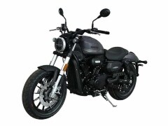 Harley-Davidson 300 cc Cruiser Spotted In China