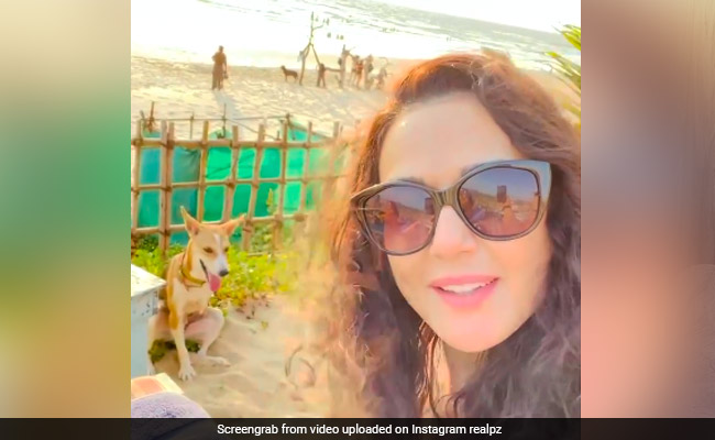 This Throwback Video Of Preity Zinta Enjoying The Sunset With Her "New Friend" Is All Things Nice