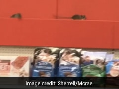 Watch: Shocking Video Of Rats Crawling On Food Shelf In A Target Store Watch: Shocking Video Of Rats Crawling On Food Shelf In A Target Store