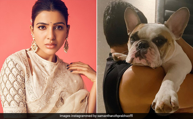 Samantha Ruth Prabhu's Adorable Pet Is The Comfort You Need When "Life Gets Weird"