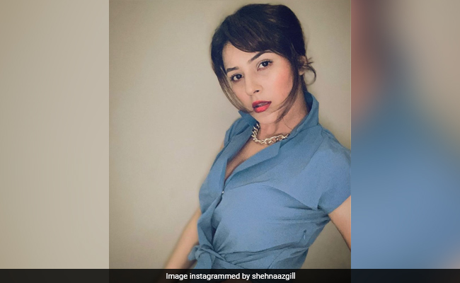 शहनाज गिल ने ब्लू ड्रेस में करवाया ग्लैमरस फोटोशूट, वायरल हुईं Photos