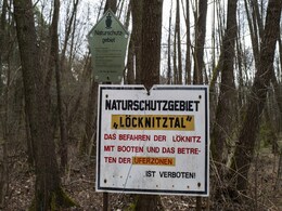 From Lizards To Water, Environment Concerns Hit Tesla's Germany Plant From Lizards To Water, Environment Concerns Hit Tesla's Germany Plant