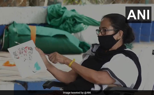 Watch: Banned From Campaigning, Mamata Banerjee Paints In Silent Protest