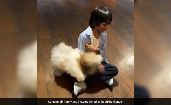 फराह खान के बच्चे लौटे वैकेशंस से तो डॉगी ने उन पर यूं लुटाया प्यार, बजने लगा इमोशनल सॉन्ग- देखें Video