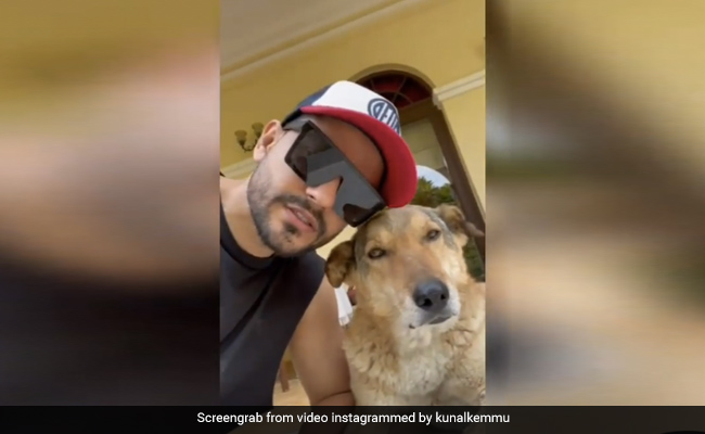 This Star's Dog Is In A "No Petting Mood." Any Ideas For Cheering Him Up?