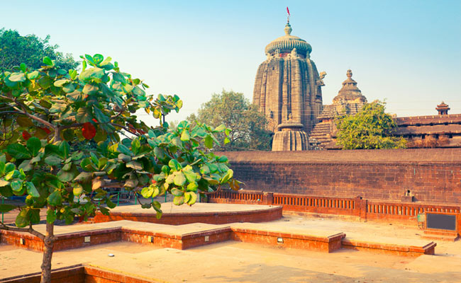 लिंगराज मंदिर श्रद्धालुओं के लिए बंद, भगवान जगन्नाथ के दर्शन से पहले करानी होगी जांच