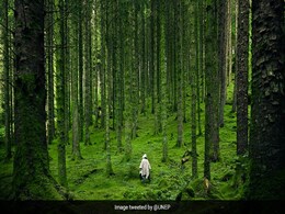Earth Day 2021: 10 Moving Quotes To Share On Earth Day Today Earth Day 2021: 10 Moving Quotes To Share On Earth Day Today