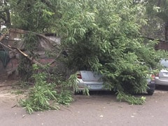 दिल्ली में धूल भरी आंधी के बाद बारिश, चौथे मंजिल से टिन शेड गिरने से 37 साल की महिला की मौत दिल्ली में धूल भरी आंधी के बाद बारिश, चौथे मंजिल से टिन शेड गिरने से 37 साल की महिला की मौत