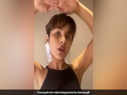 शहनाज गिल ने अमेरिकी सिंगर के गाने पर किया धमाकेदार डांस, देखें Viral Video शहनाज गिल ने अमेरिकी सिंगर के गाने पर किया धमाकेदार डांस, देखें Viral Video