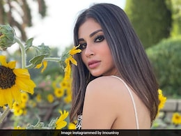 Exotic Dinner And Desserts: All About Mouni Roy's Foodie Outing In Dubai Exotic Dinner And Desserts: All About Mouni Roy's Foodie Outing In Dubai
