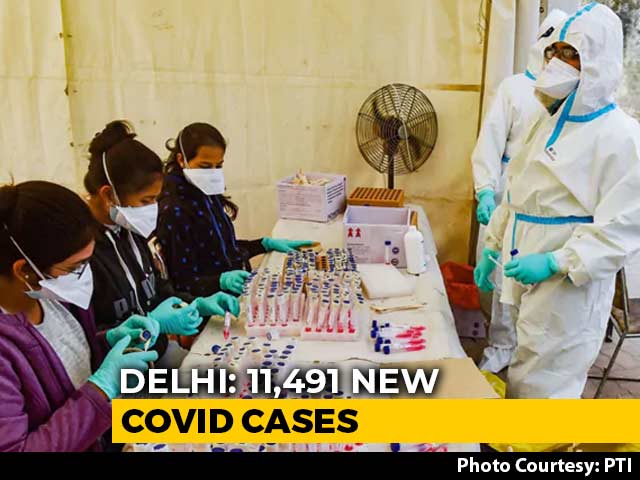Delhi Records 11,491 New COVID-19 Cases, Highest Single-Day Spike