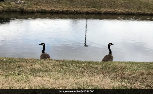 Earth Day 2021: Date, Theme, Significance And Activities Of Earth Day