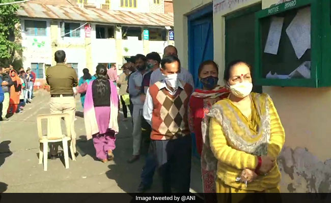 Himachal Pradesh Civic Polls: 40% Polling In Dharamshala, 49% In Palampur Till 2 pm