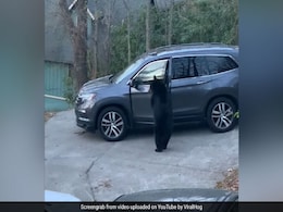 भूखे भालू को दिखी कार, खड़े होकर खोला दरवाजा और उड़ा ले गया खाना - देखें मज़ेदार Video भूखे भालू को दिखी कार, खड़े होकर खोला दरवाजा और उड़ा ले गया खाना - देखें मज़ेदार Video
