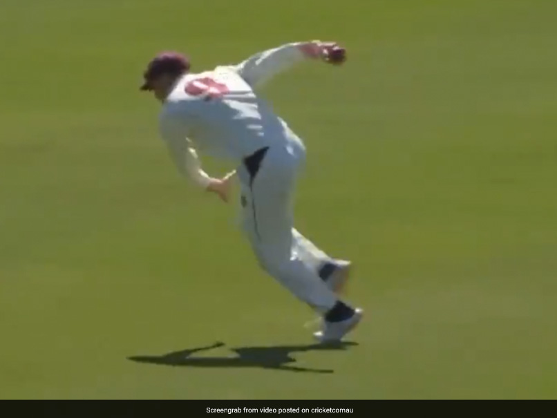 Watch: Marnus Labuschagne's "Peculiar" Catch Sparks Twitter Debate