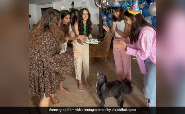 श्रद्धा कपूर ने दोस्तों संग मनाया अपने 'बाबू' शाइलो का बर्थडे, शेयर किया खूबसूरत Video