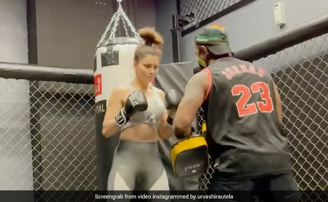 बॉक्सर से रिंग में भिड़ गईं उर्वशी रौतला, यूं लगाए पंच पे पंच- देखें Video