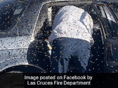 Stimulus Check Update You Now Can Track Your Payment Irs Says Nj Com